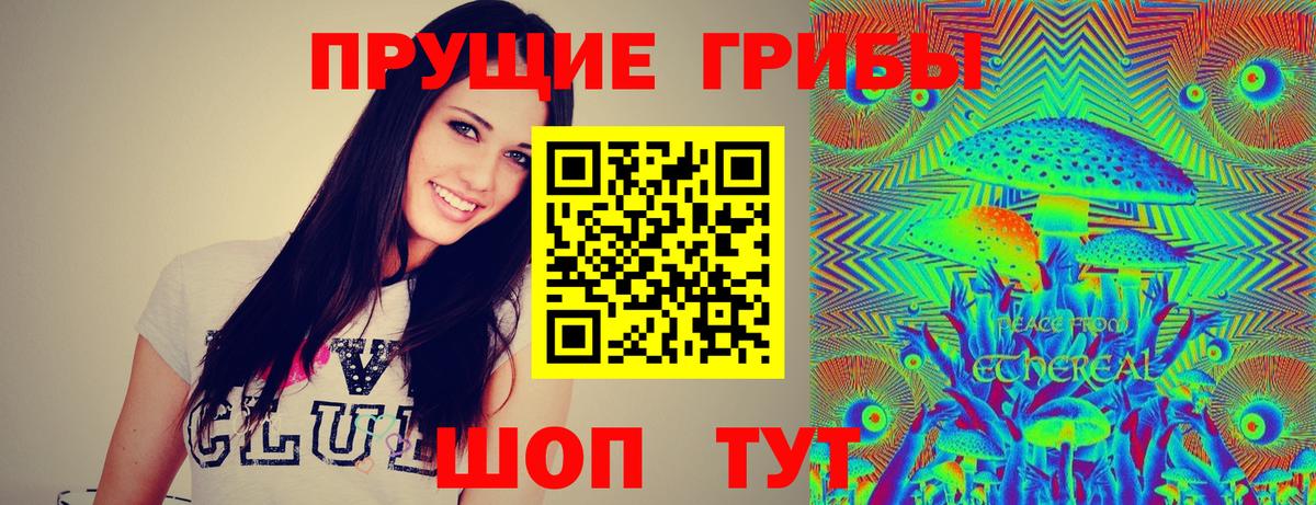 Белебей  Псилоцибиновые грибы GOLDEN TEACHER  Вход с VPN 