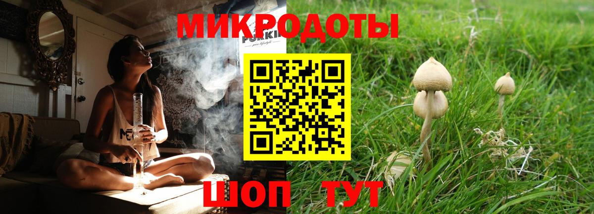 Псилоцибиновые грибы Psilocybe Белебей